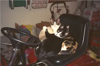 small_9400 1218 cew familyIMG0055.webp